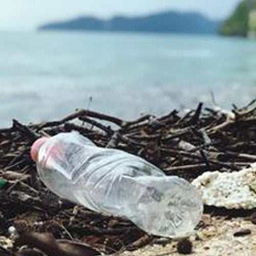 4 Simple Ways You Can Help Reduce Single-Use Plastics – Go Reusable Today!